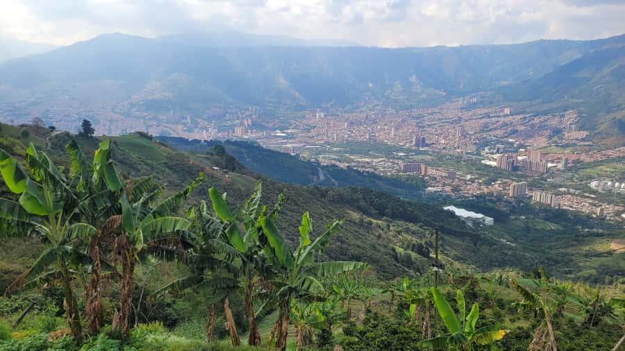 Medellin: Coffee Farm Tour & Spa with Overnight Glamping - Five things to know before you go
