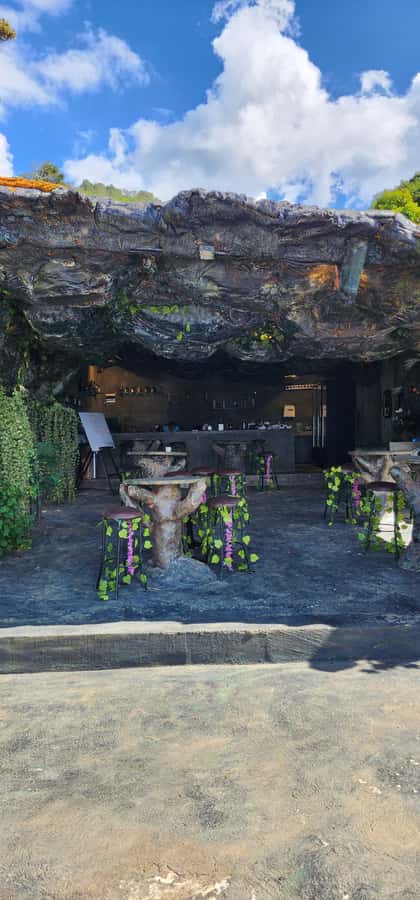 Medellin: Coffee Farm Tour & Spa with Overnight Glamping - Following coffee from planting to processing