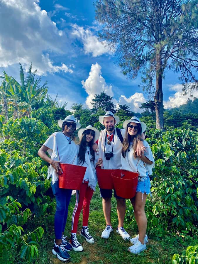 Medellín Coffee Farm Tour with Trolley and Cable Car Ride - Key points to know before booking