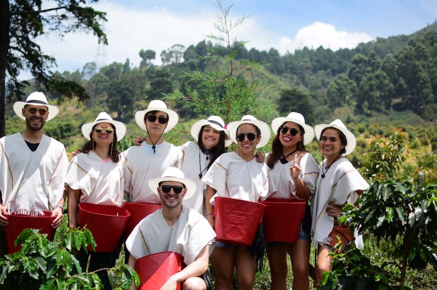 Medellín Coffee Farm Tour with Trolley and Cable Car Ride - Why this coffee tour feels different