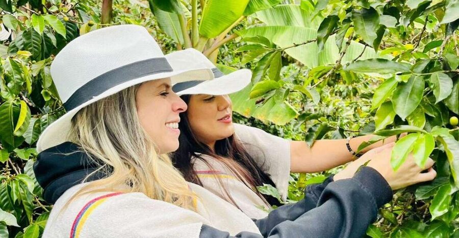 Medellín Coffee Farm Tour with Trolley and Cable Car Ride - The guides make the difference