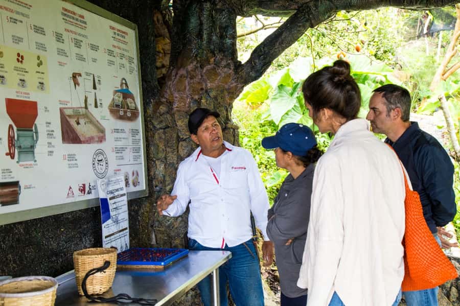 Medellin: Coffee Tour and Wellness Spa - What to bring and how to prepare