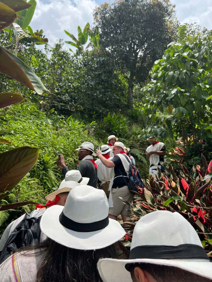 Medellín: Coffee Tour Experience at a Coffee Farm - Walking the plantation’s ecological routes