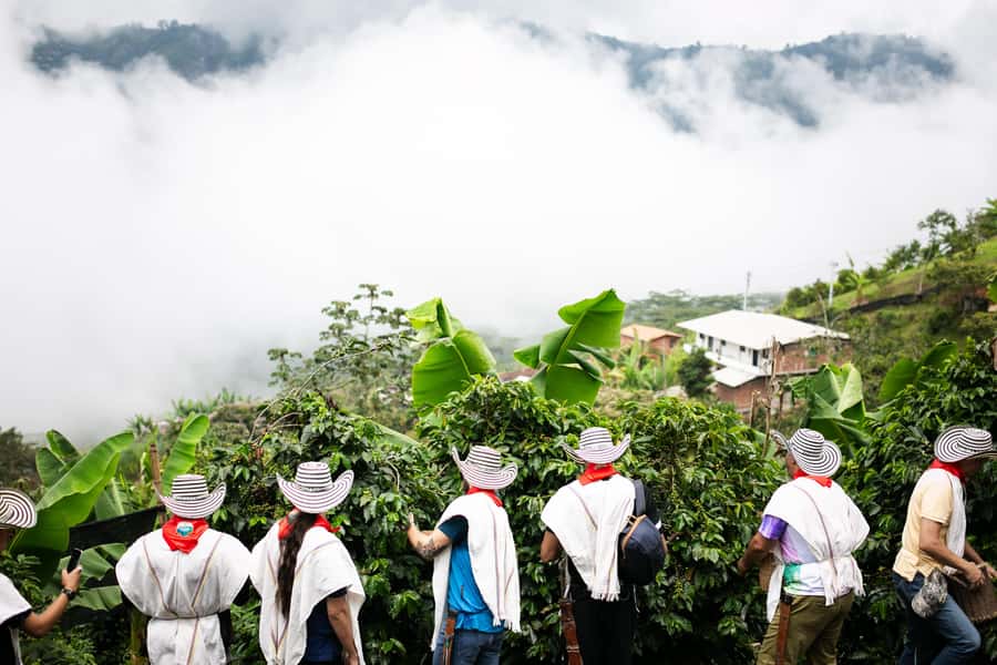 Medellin: Coffee Tour, Horseback Arrival, and Sugar Cane - Should you book this Antioquia coffee tour?