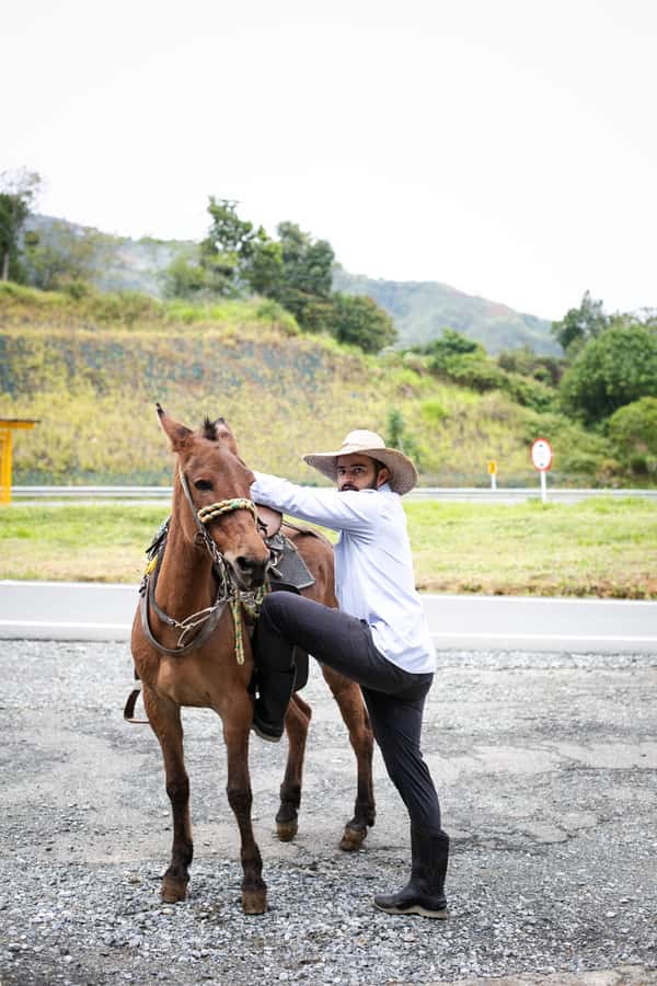 Medellin: Coffee Tour, Horseback Arrival, and Sugar Cane - Sugar cane and panela in the same farm visit