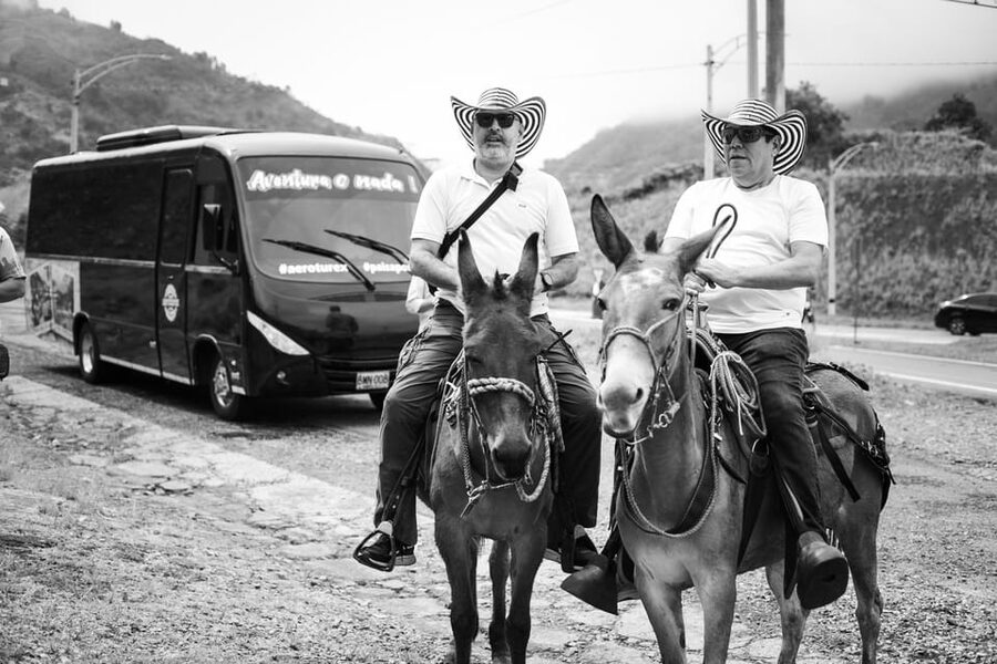 Medellin: Coffee Tour, Horseback Arrival, and Sugar Cane - What the $76 price really covers