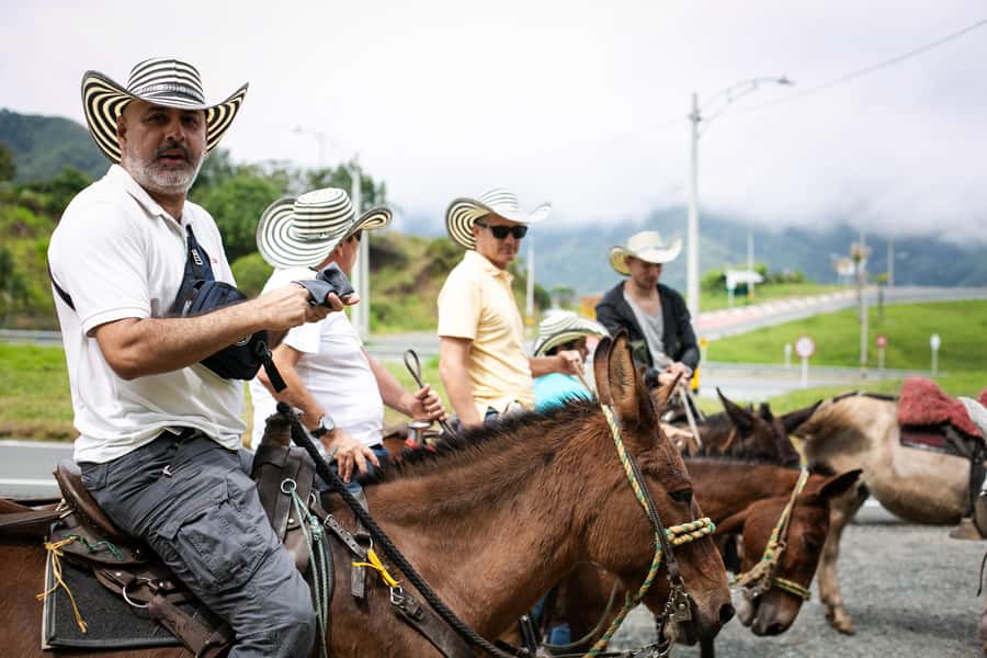 Medellin: Coffee Tour, Horseback Arrival, and Sugar Cane - Picking coffee among bananas and cacao