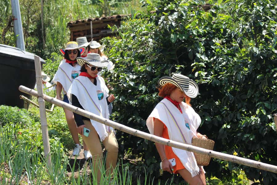 Medellin: Coffee Tour with Hotel Transfers and Meals - Key points to know before booking