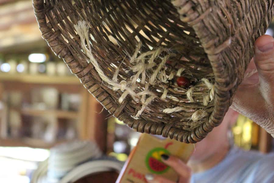 Medellin: Coffee Tour with Hotel Transfers and Meals - Who will enjoy this farm visit most