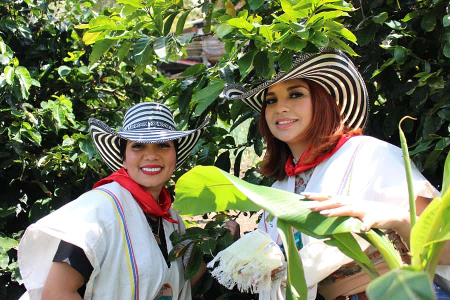 Medellin: Coffee Tour with Hotel Transfers and Meals - From Medellín to San Sebastián de Palmitas