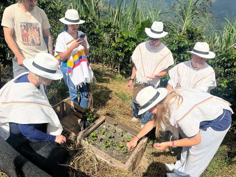 Medellin: Coffee Tour with Hotel Transfers and Meals - Learning coffee from plant to cup