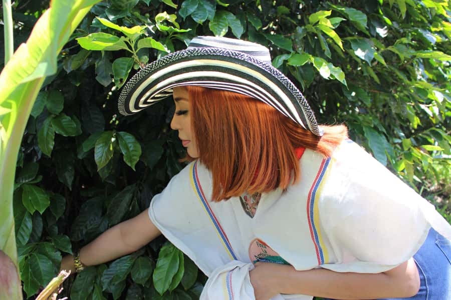 Medellin: Coffee Tour with Hotel Transfers and Meals - Optional horseback riding through the viewpoints