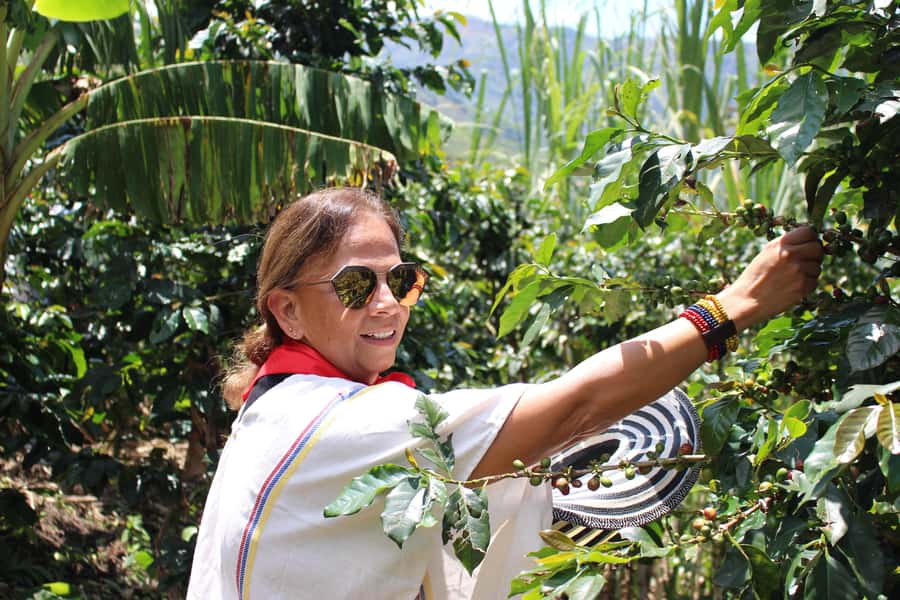 Medellin: Coffee Tour with Hotel Transfers and Meals - Arriving at Finca La Arrinconada