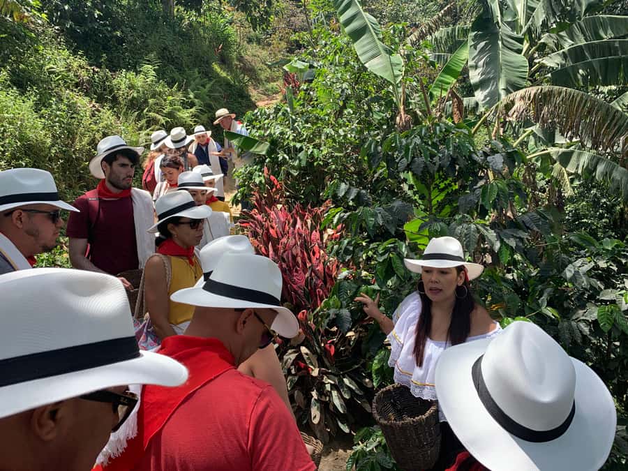 Medellin: Coffee Tour with Transport, Snacks and Tastings - Who will enjoy this farm day most