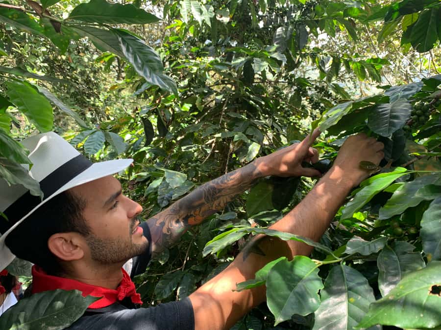 Medellin: Coffee Tour with Transport, Snacks and Tastings - Learning to taste and brew specialty coffee