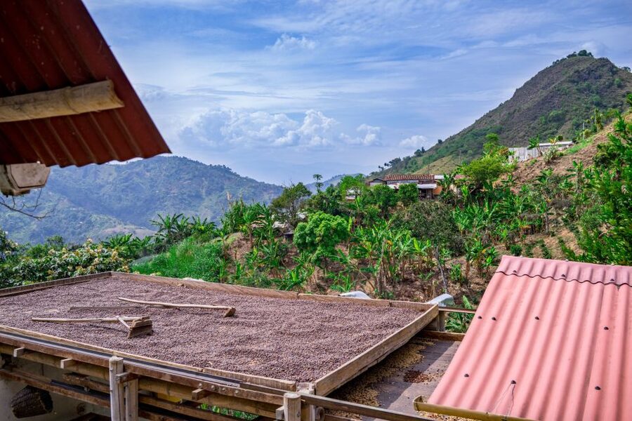 Medellin: Coffee Tour with Transport, Snacks and Tastings - A hearty Paisa lunch after the walk
