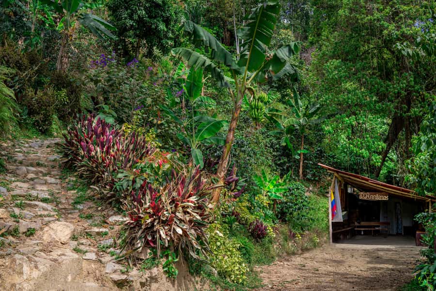 Medellin: Coffee Tour with Transport, Snacks and Tastings - Viewpoints and the optional horseback ride