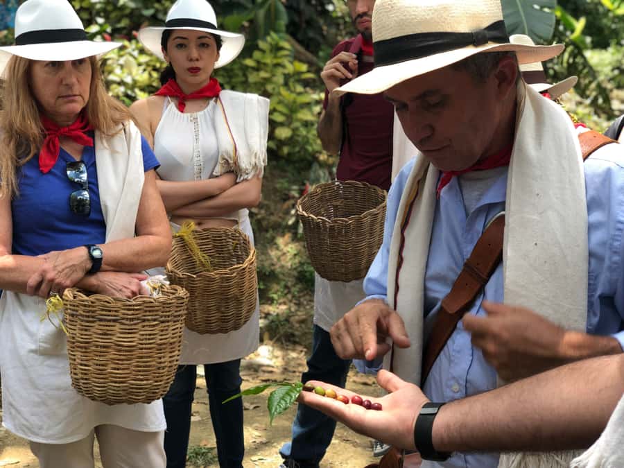 Medellin: Coffee Tour with Transport, Snacks and Tastings - Shopping, souvenirs, and the real value of $80