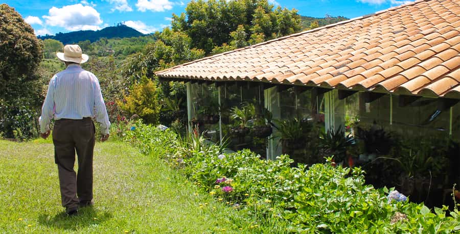 Medellín: Flower Farm & Silletero History Tour - Key points before you book