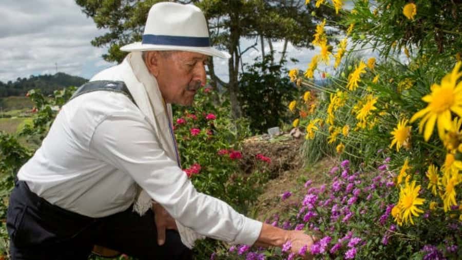 Medellín: Flower Farm & Silletero History Tour - Why Silleteros matter in Medellín