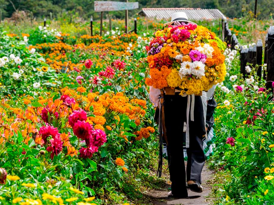 Medellín: Flower Farm & Silletero History Tour - The 45-minute ride into Santa Elena