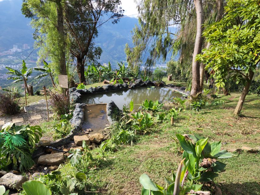 Medellin: Glamping Spa and coffee tour Experience - Walking through coffee cultivation