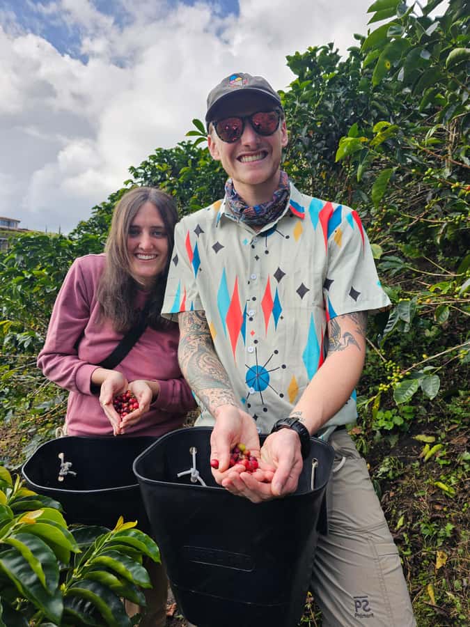 Medellin: Guatape, El Peñol Coffee Farm Private Tour & Fruit - Who should book this Guatapé tour?
