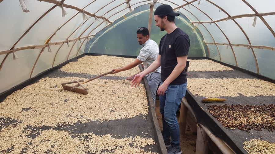 Medellin: Guatape, El Peñol Coffee Farm Private Tour & Fruit - Why this Antioquia day trip works so well