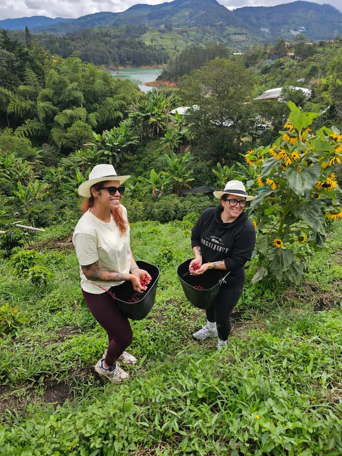 Medellin: Guatape, El Peñol Coffee Farm Private Tour & Fruit - Climbing Piedra del Peñol: a serious stairway with a major payoff