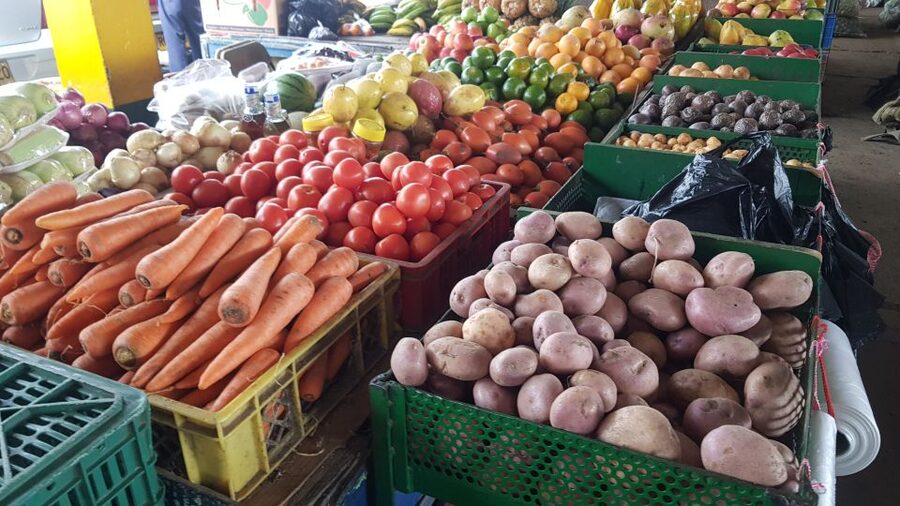 Medellin: Guatape, El Peñol Coffee Farm Private Tour & Fruit - What the private format changes