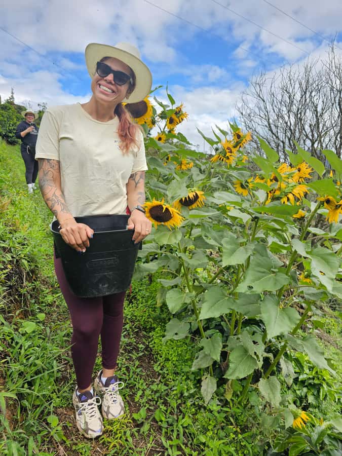 Medellin: Guatape, El Peñol Coffee Farm Private Tour & Fruit - Timing, effort, and what to bring