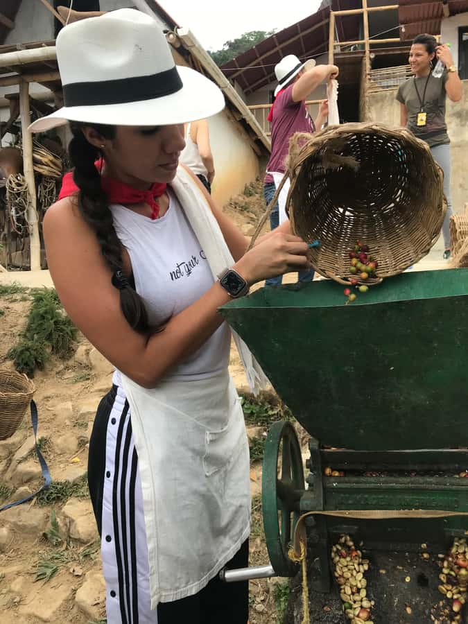 Medellín: Guatape Village with Coffee and Fruit Tasting Tour - What $174 covers, and where the value lies