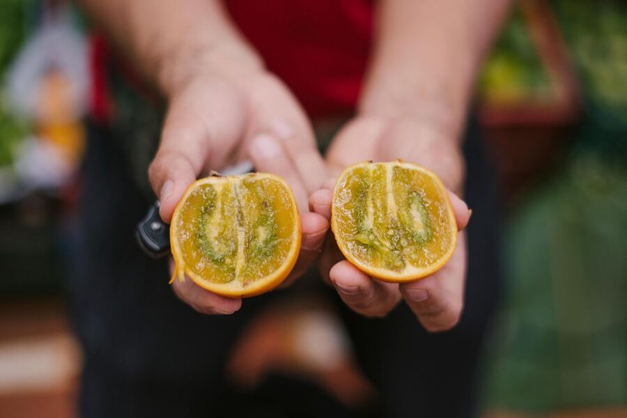 Medellín: Guided Exotic Fruits Tour - Timing, cancellation, and small details that matter