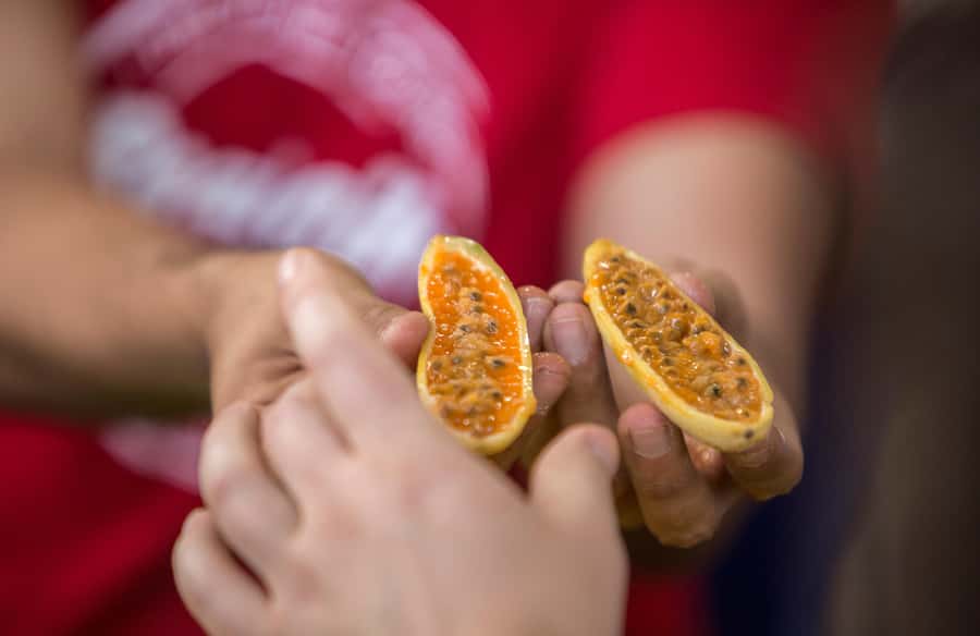 Medellín: Guided Exotic Fruits Tour - Who will enjoy it most
