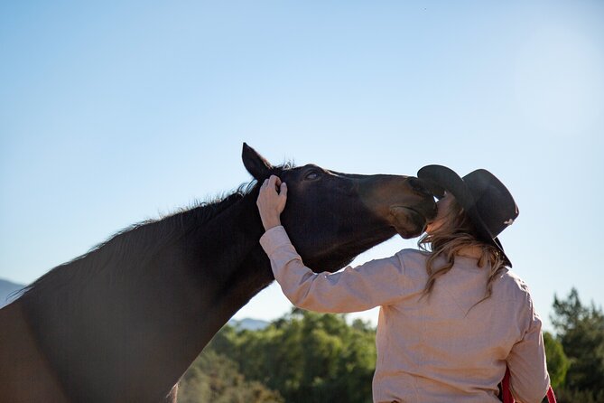 Medellin: Horseback Riding Adventure In Nature (Don't Overpay) - What the 1.5-hour trail is really like