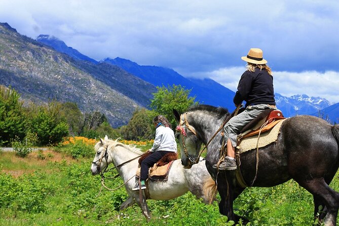 Medellin: Horseback Riding Adventure In Nature (Don't Overpay) - Why group size can change the whole experience