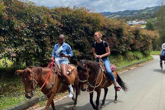 Medellin: Horseback Riding Adventure In Nature (Don't Overpay) - Meeting the horses at the finca