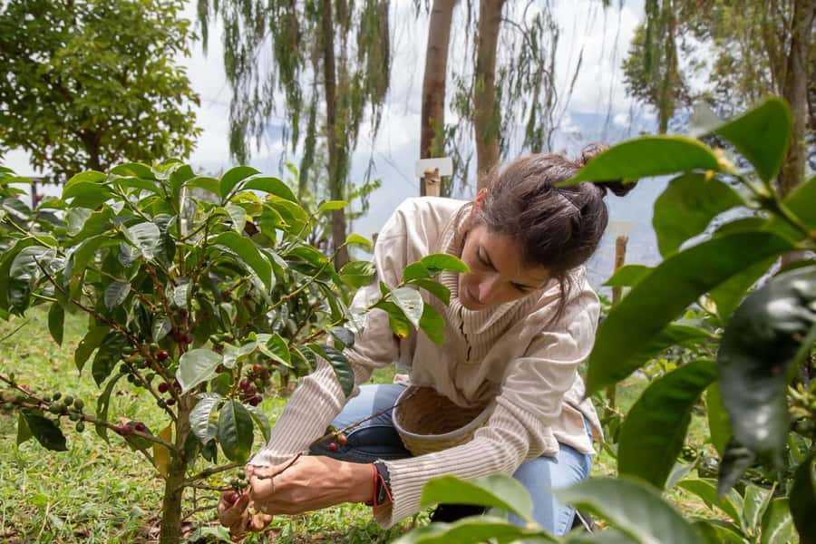 Medellin: Horseback Riding Coffee Farm Tour with Coffee Spa - Key points to know before you book