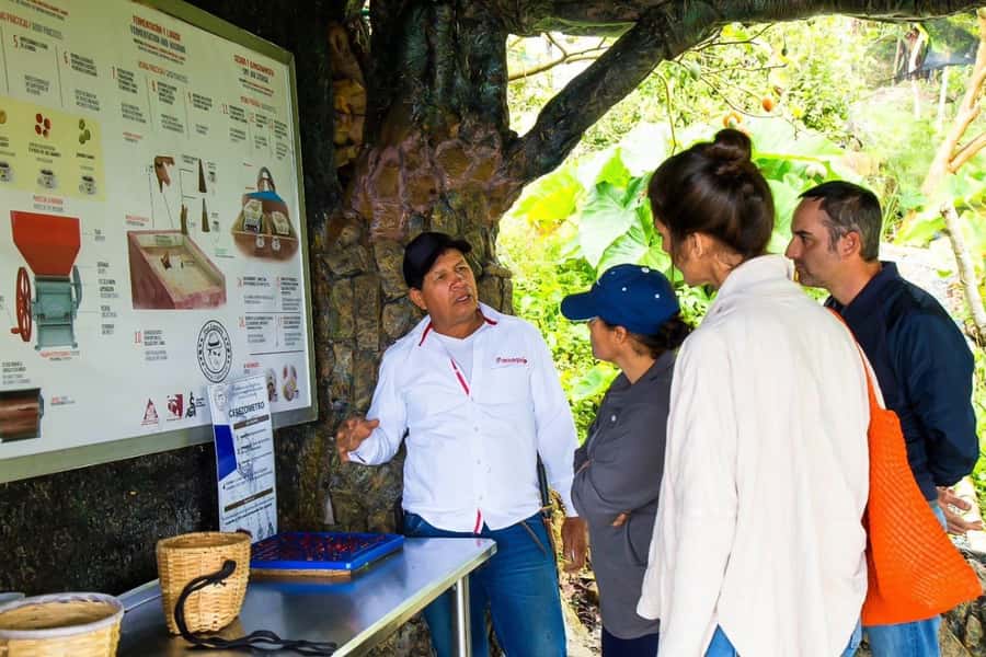 Medellin: Horseback Riding Coffee Farm Tour with Coffee Spa - Who should book this Medellín coffee farm tour?