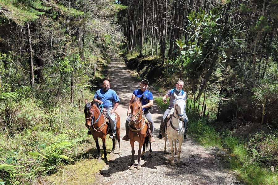 Medellin: Horseback Riding Coffee Farm Tour with Coffee Spa - From Medellín’s metro to the Arvi hills