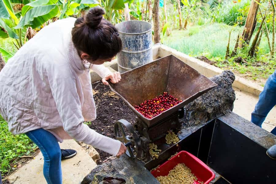 Medellin: Horseback Riding Coffee Farm Tour with Coffee Spa - The coffee spa: steam, scrub, cold water, and massage