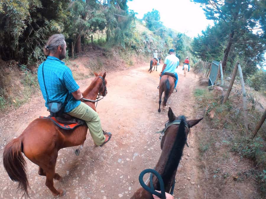 Medellin: Horseback Riding in the Medellin Mountains - From Medellín streets to Antioquia’s mountain trails