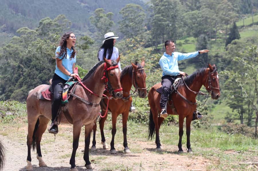 Medellin: Horseback Riding in the Medellin Mountains - Should you book the Medellín mountain horseback ride?