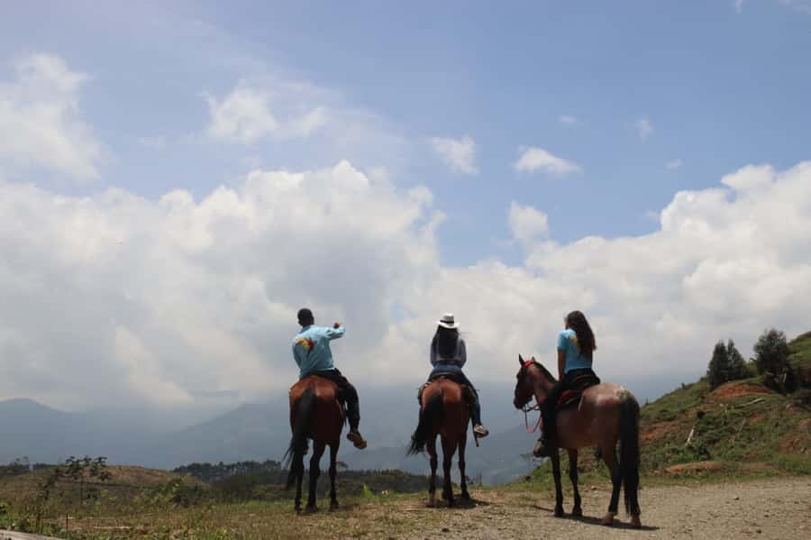 Medellin: Horseback Riding in the Medellin Mountains - Pauses at rural homes and mountain rest spots