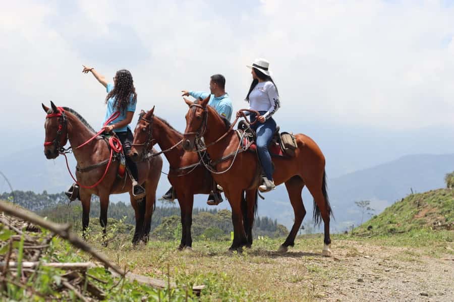 Medellin: Horseback Riding in the Medellin Mountains - Is $70 good value for five hours?