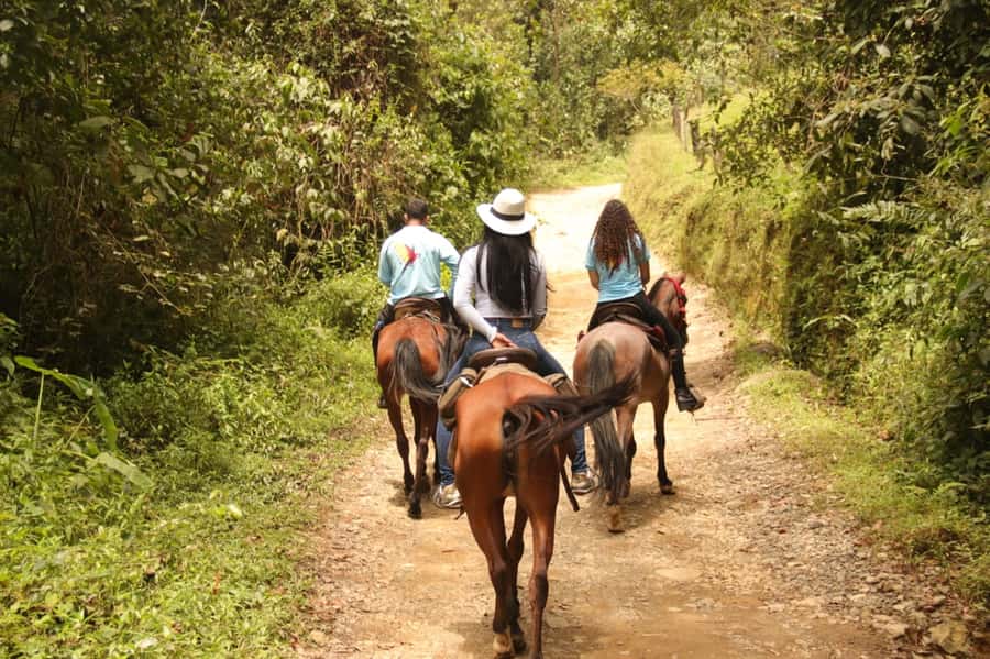 Medellin: Horseback Riding in the Medellin Mountains - Who will enjoy this ride most?