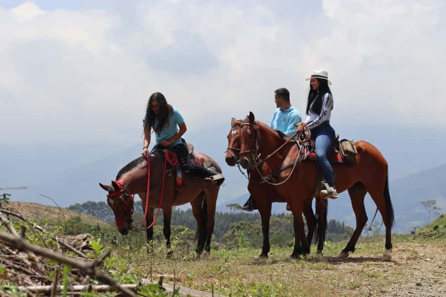Medellin: Horseback Riding in the Medellin Mountains - Booking details worth checking before you go