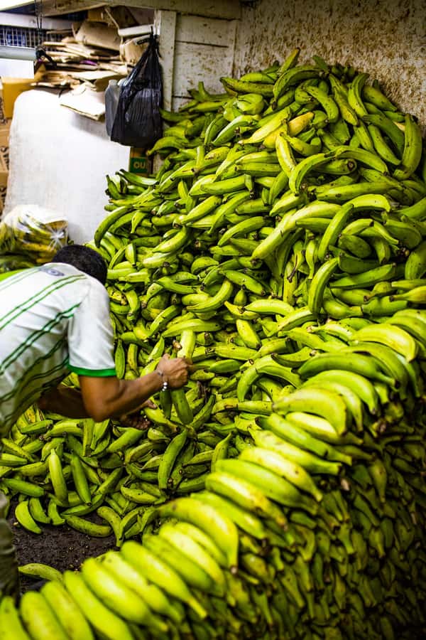 Medellín Multi-sensory Tour in the market, +15 Exotic Fruits - Who will enjoy this most?