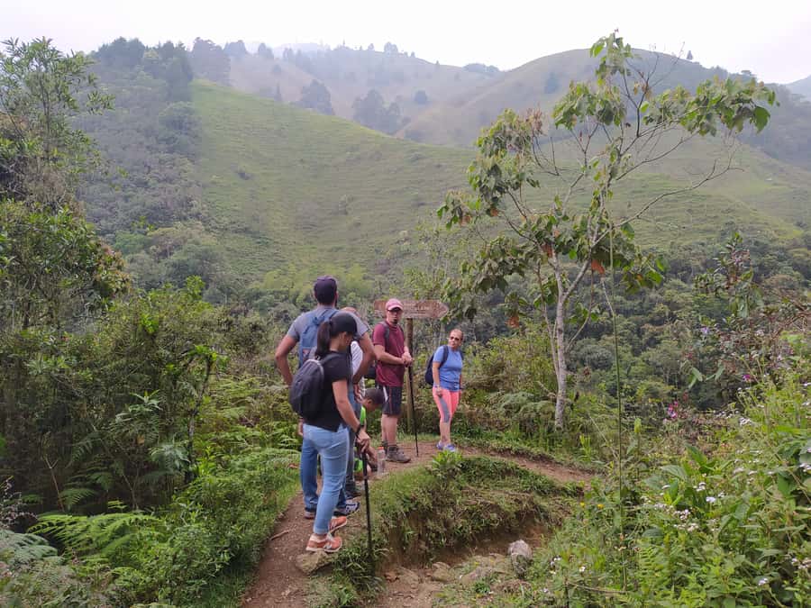 Medellín: Nature Experience & Waterfall-Hike - Key points at a glance