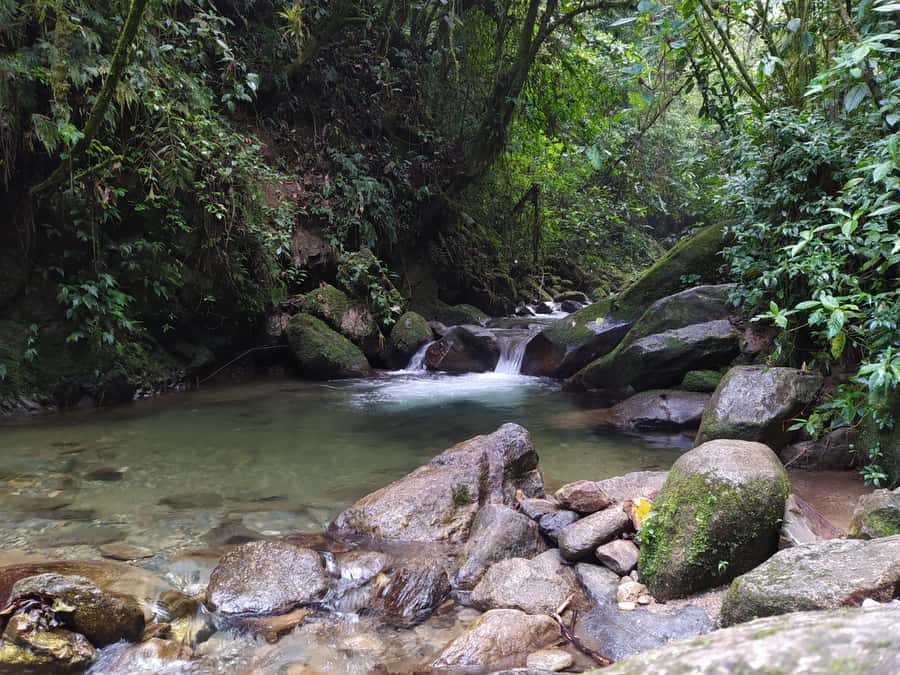 Medellín: Nature Experience & Waterfall-Hike - Why La Miel makes a good break from Medellín